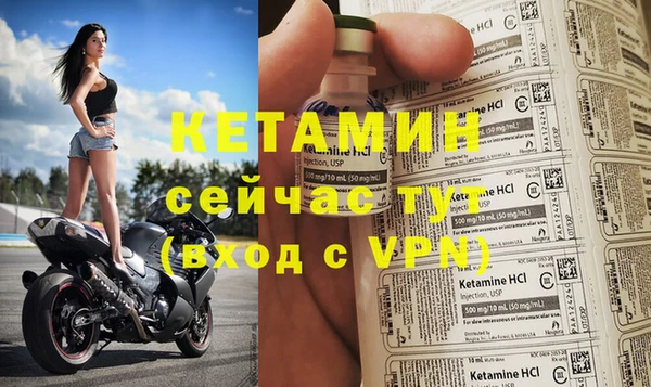 ГАЛЛЮЦИНОГЕННЫЕ ГРИБЫ Гусь-Хрустальный