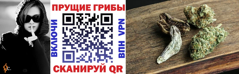 Галлюциногенные грибы Magic Shrooms Волчанск