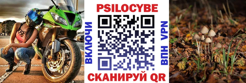 Псилоцибиновые грибы Magic Shrooms  Волчанск 
